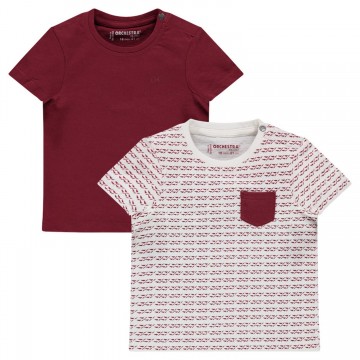 Lot de 2 tee-shirts bébé garçon