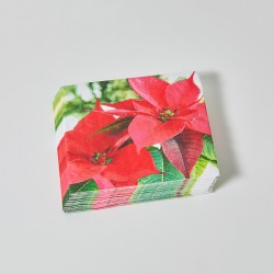 Serviettes en papier "poinsettia" - lot de 20