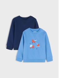 Lot de 2 sweat-shirts bébé garçon