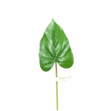 Feuille Anthurium prune