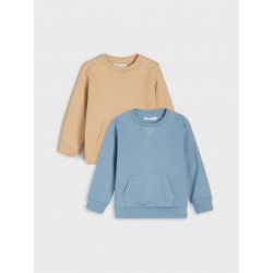 Lot de 2 sweatshirts bébé garçon