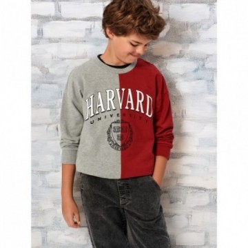 Sweat-shirt Harvard garçon