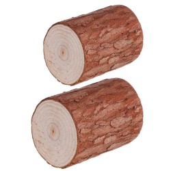 Souche d'arbre en bois hauteur 30cm