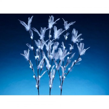 Branche lumineuse plumes