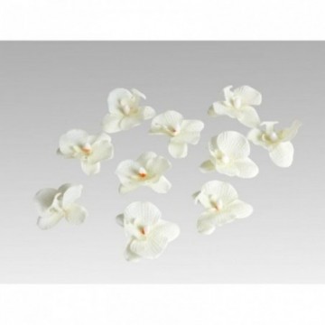 Lot de 12 mini orchidée décoratifs