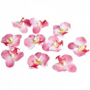 Lot de 12 mini orchidée décoratifs