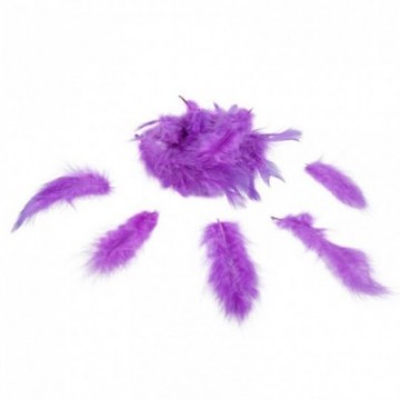 Mini plumes violette x35